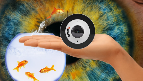 LA CAMÉRA FISHEYE : UNE INNOVATION CLÉ POUR LA SÉCURITÉ DOMESTIQUE MODERNE